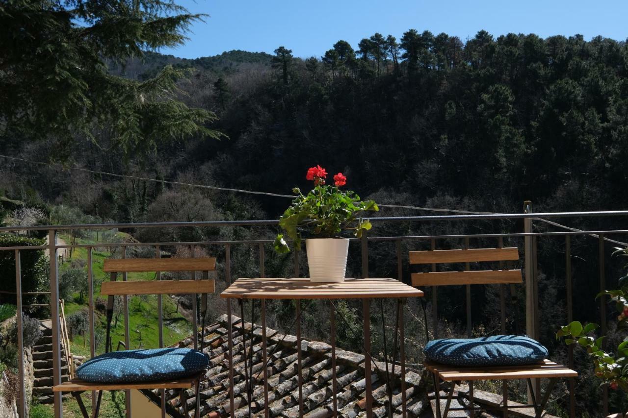 B&B Panoramic Греве ин Кианти Екстериор снимка